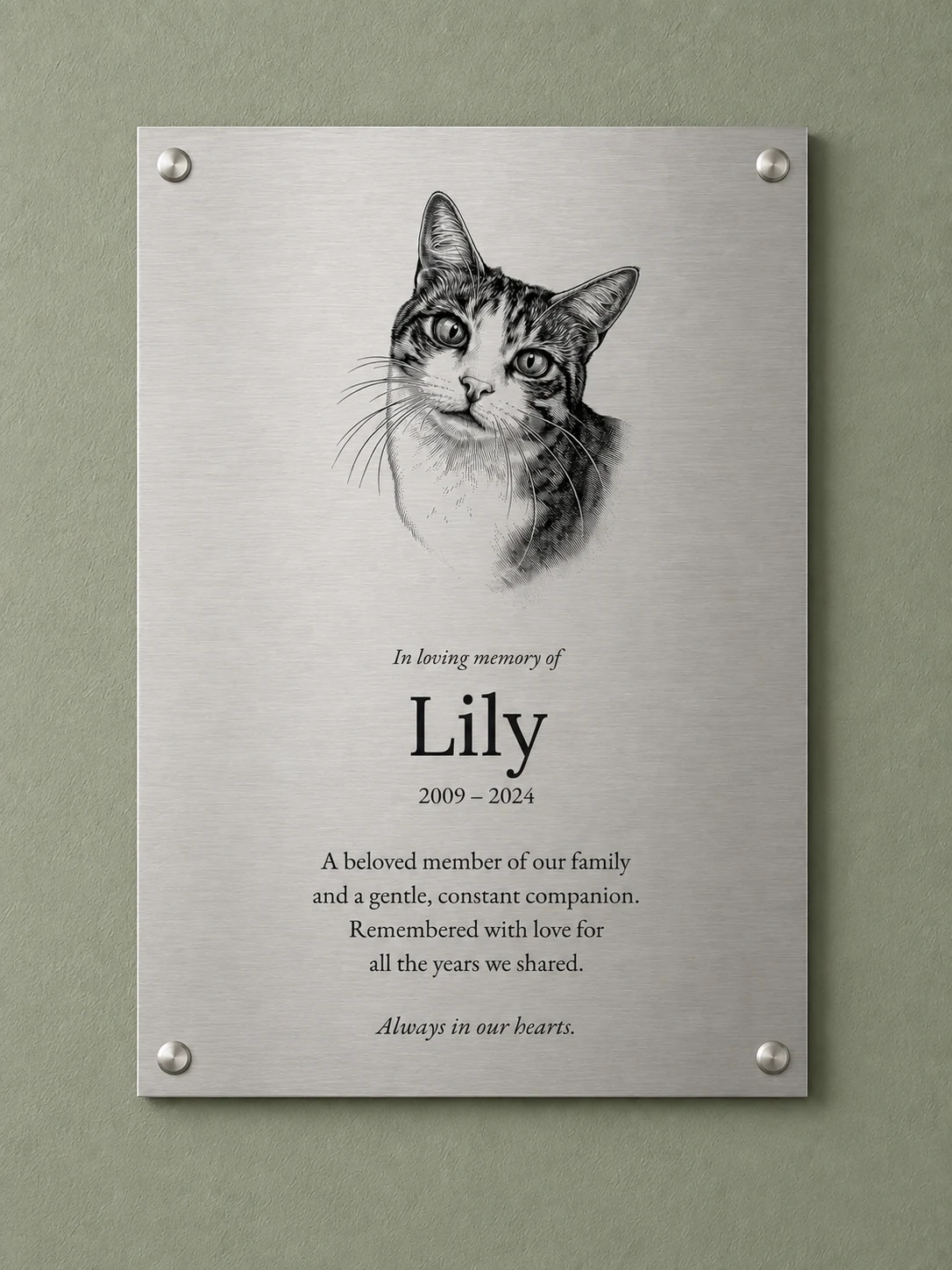 Lily the tabby-and-white cat engraved above a family inscription on brushed stainless steel, fixed to a sage wall with silver screw caps